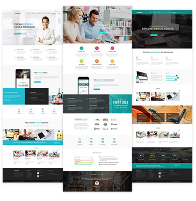 Fortuna - a Premium, Responsive Wordpress Theme