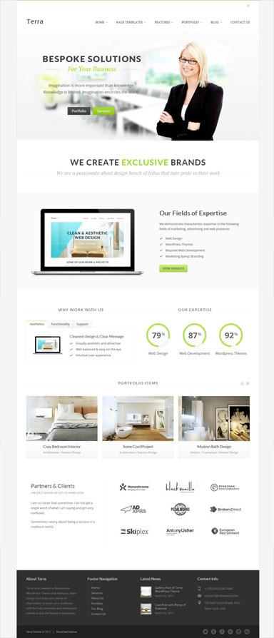 Terra - a Premium, Responsive Wordpress Theme